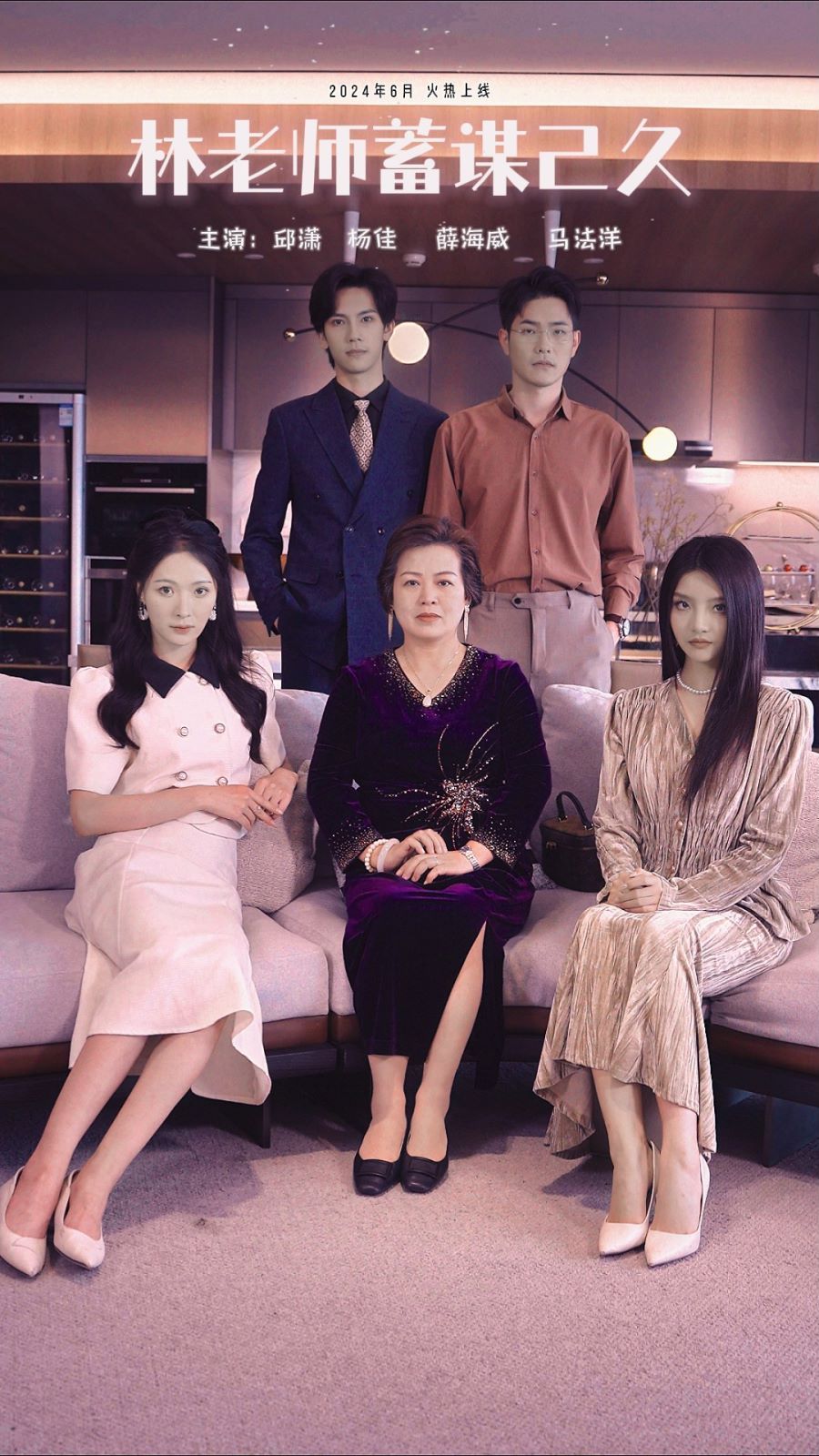 台湾剧《林教授与妻子》演员阵容
